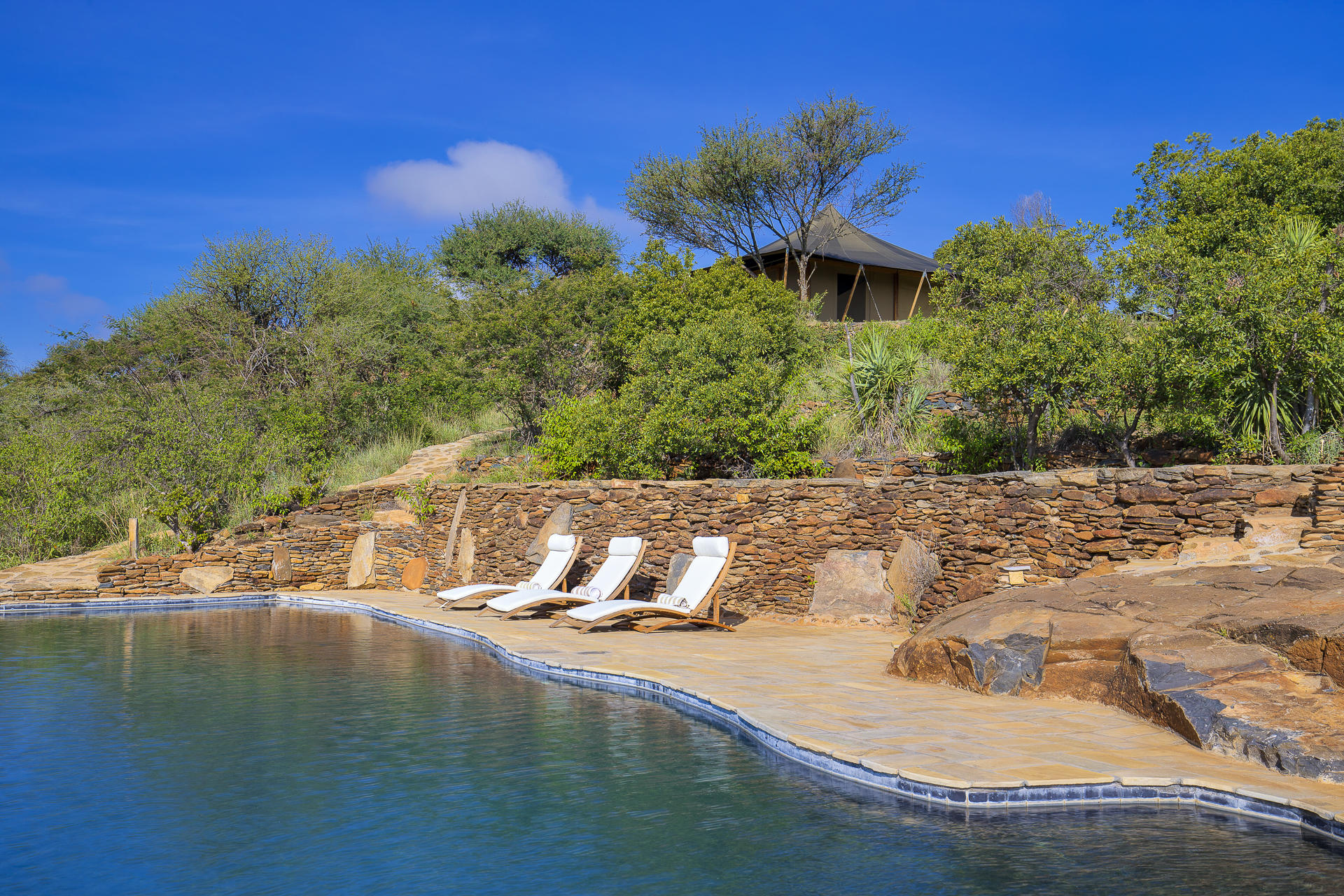 Image of Loisaba Tented Camp df17f64a-ac98-4c42-a444-94fa40b9cda4