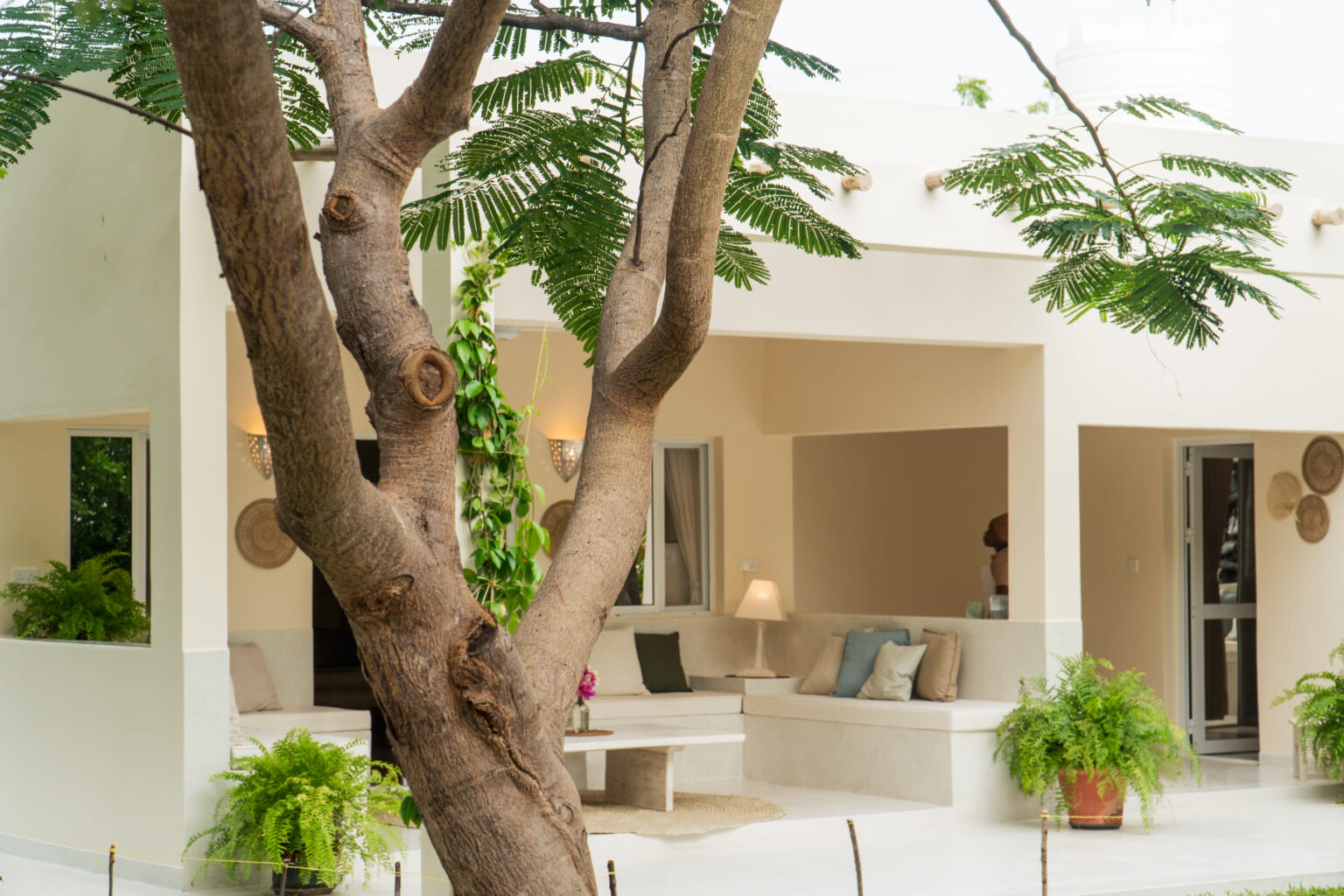 Image of Mamburui Beach House c60178c4-9b89-4b12-8bed-a896c0d0dd79