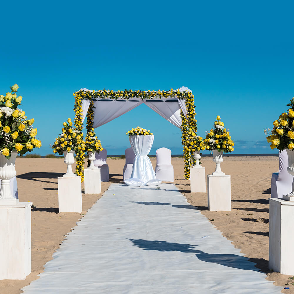 Image of Ocean Beach Resort ca407716-ca8f-4fe6-98f4-b4275d622899