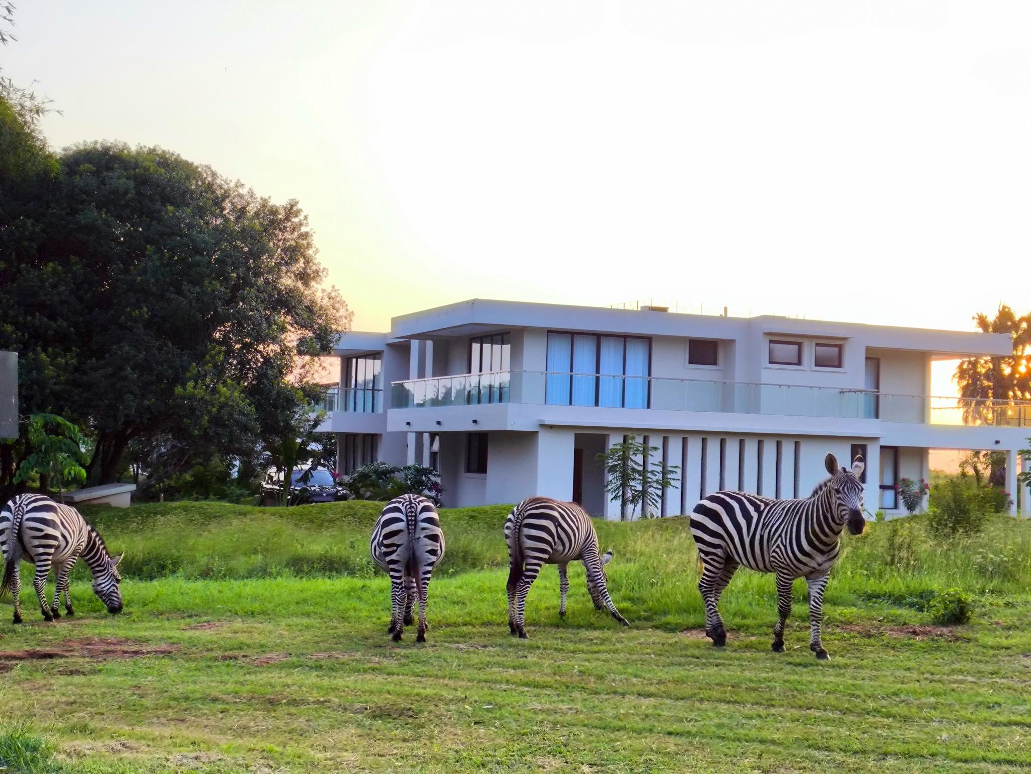 Sunset Villa 8, 5BR