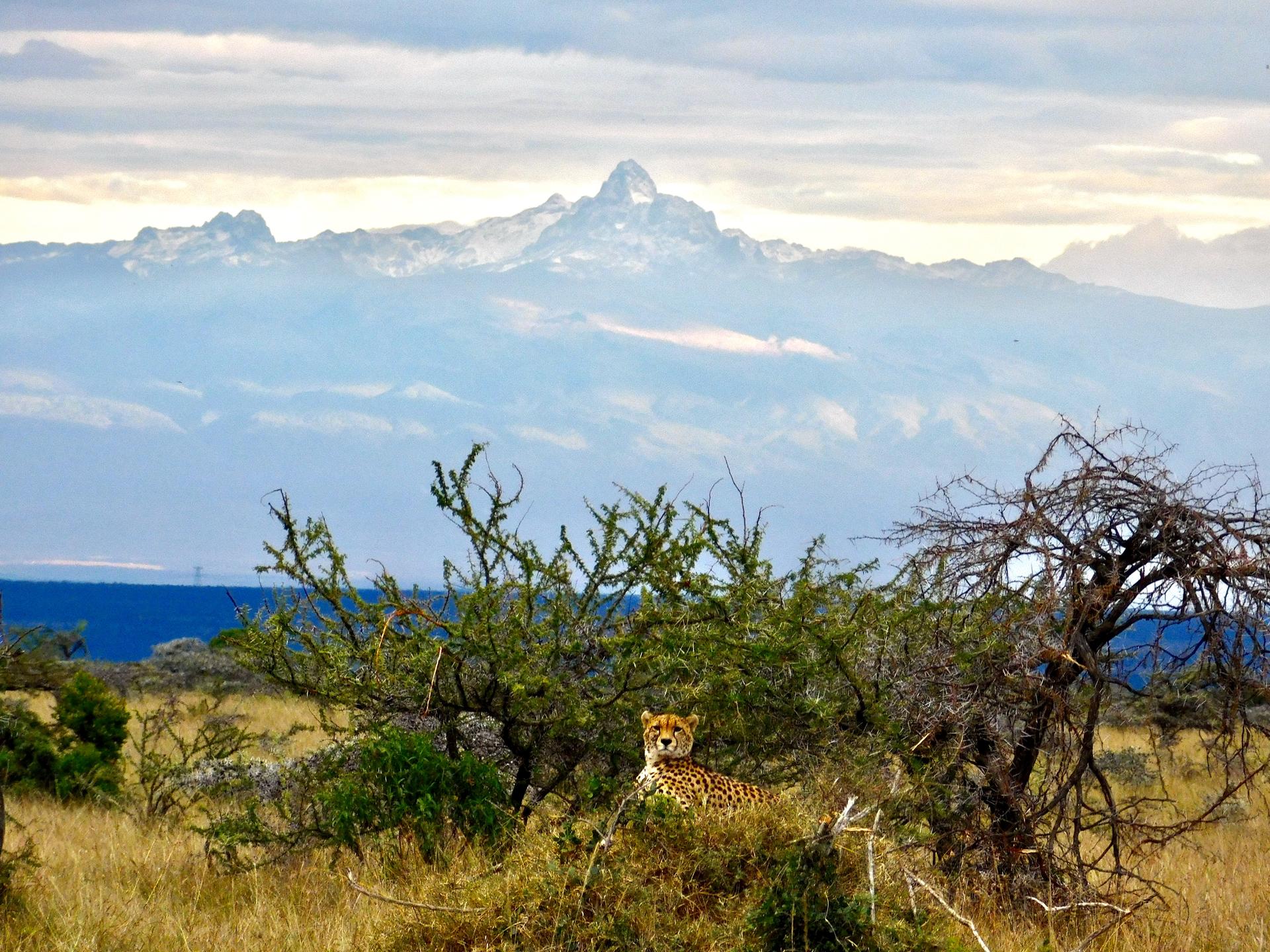 Image of Suyian Conservancy 4ceec749-f7f8-447d-b1e4-9a25254201aa