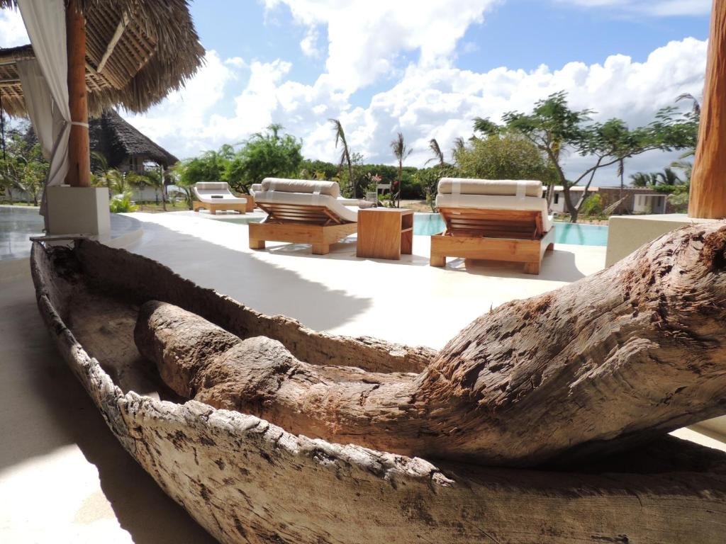 Image of The Turtle House 82cdbb84-2787-437a-a0fb-de1e2ca70387