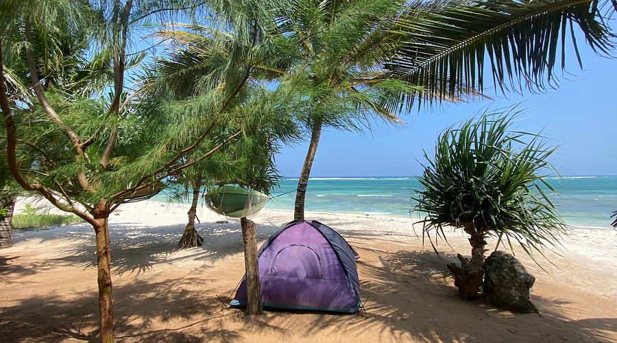 Beach Camping Experience in Diani
