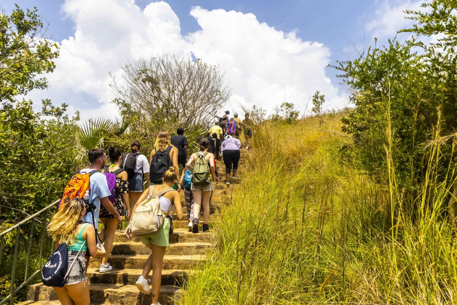 Hike to Sheldrick Falls from Diani
