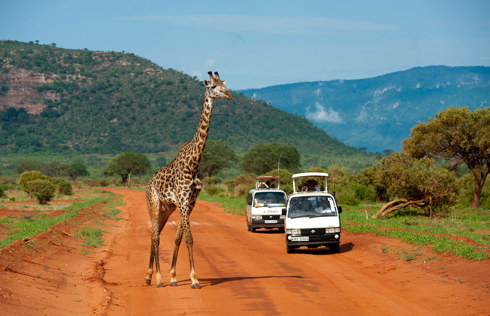 Tsavo East National Park Safari from Diani