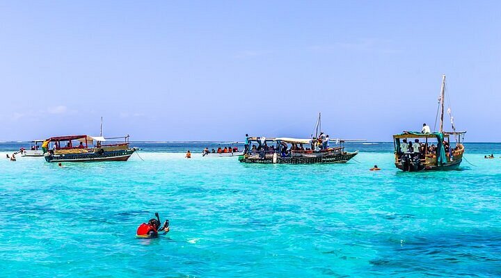 Wasini Island Safari from  Diani